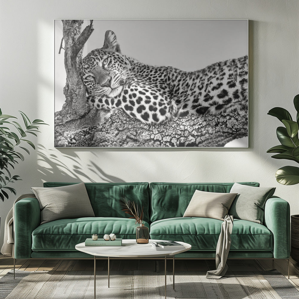Zeit, sich auszuruhen, Leopard