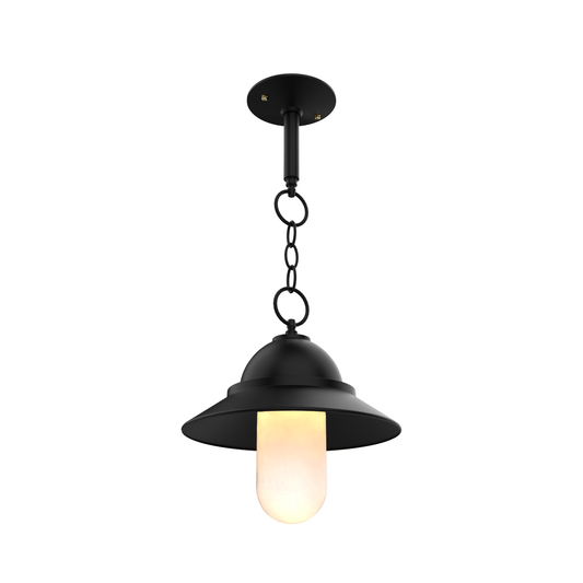 San Francisco - Montage au plafond sur chaine avec globe format moyen - 22350