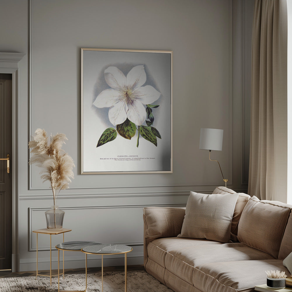 ウォールアート クレマチスの花 リトグラフ