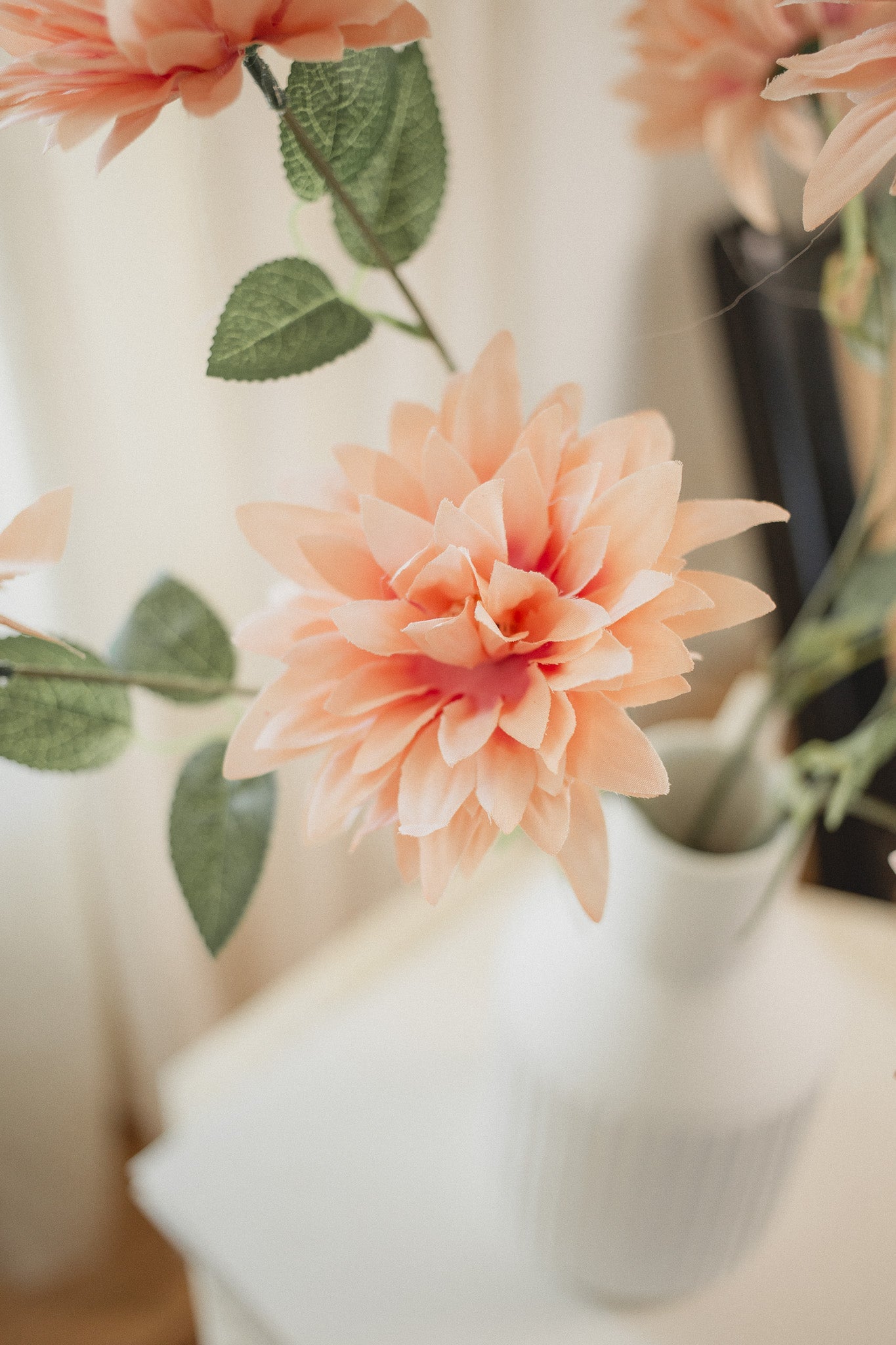 Dahlia