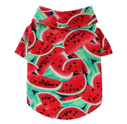 Watermelon Dog T-Shirt | Graphic Dog Shirt