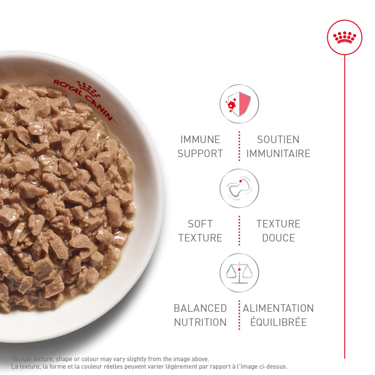 Royal Canin Feline Health Nutrition Kitten Thin Slices in Gravy Canned Cat Food, 3 oz can (12-Count) ๐ All In One Marketplace Canada