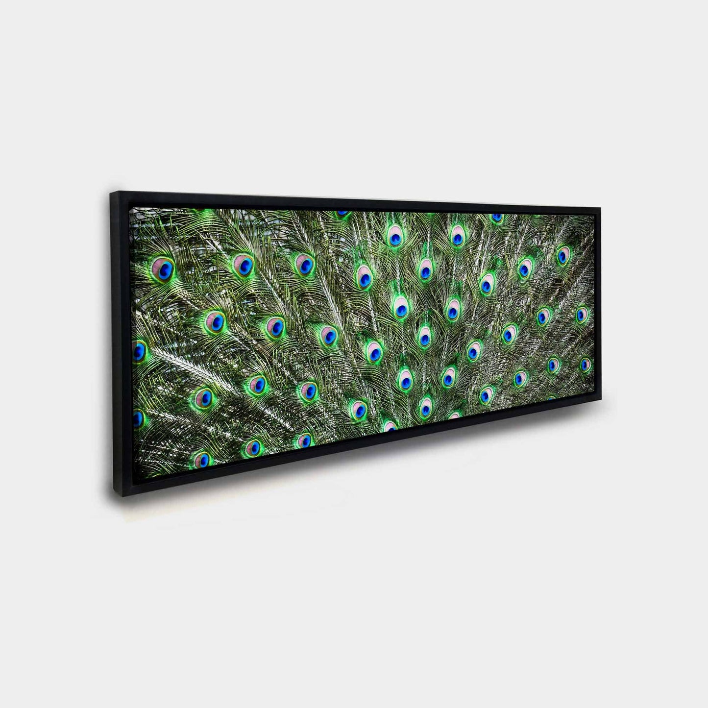 Große Leinwand Wandkunst – Pfauenfedern – Naturkunstwerk