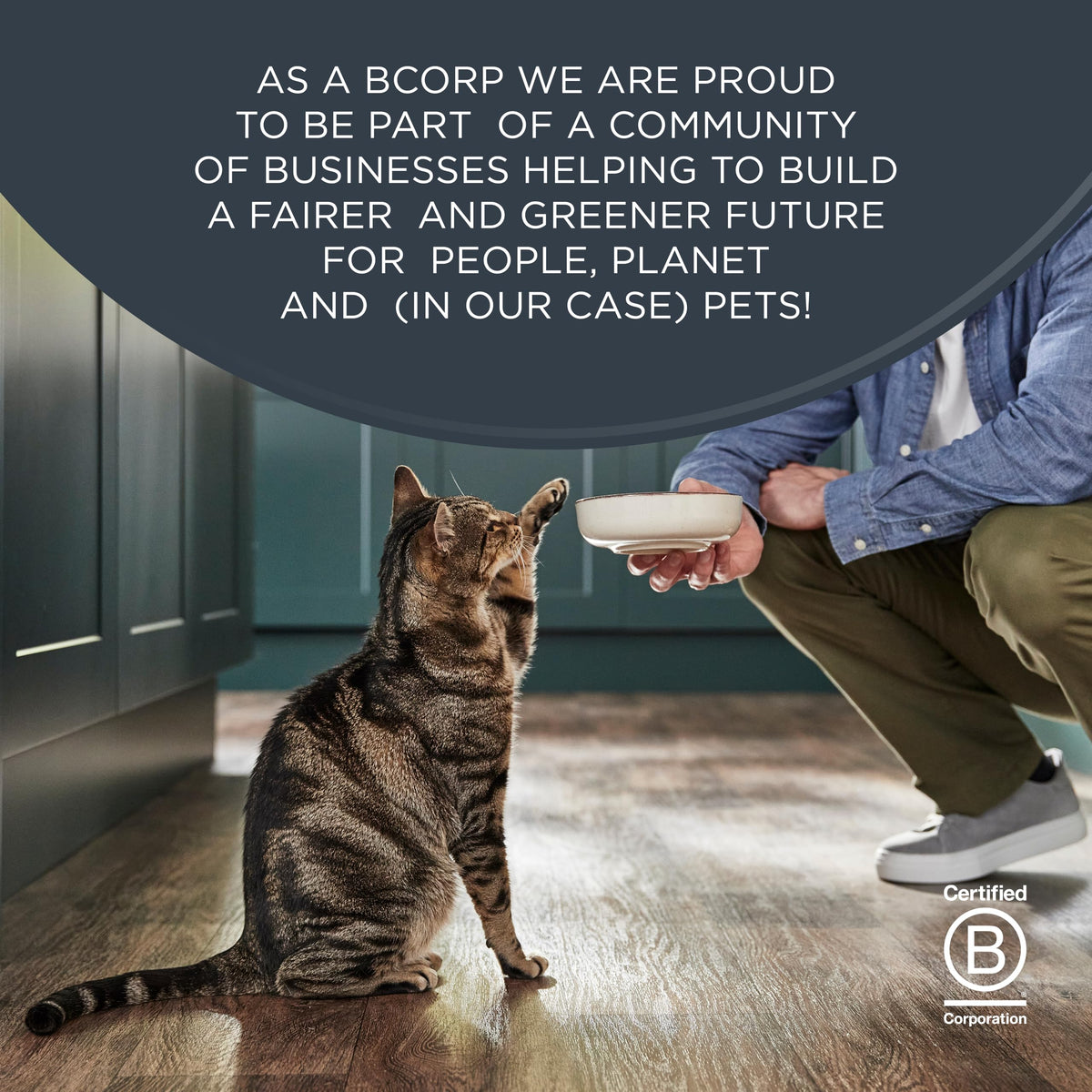 Reveal Natural Wet Cat Food in Broth, Limited Ingredient Grain Free Canned Cat Food, Protein with No Artificial Additives, Fish & Chicken Variety in Broth (12 x 2.47 oz Cans) 🍁 All In One Marketplace Canada