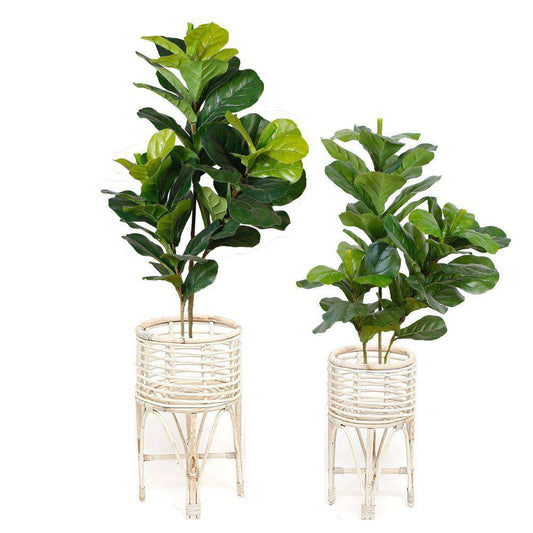 Cardo Rattan Planter (Multiple Sizes)