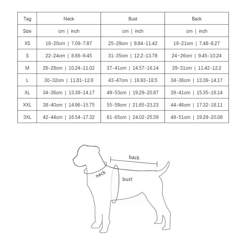Bordan Dog Tee – Luxury Streetwear T-Shirt for Dogs