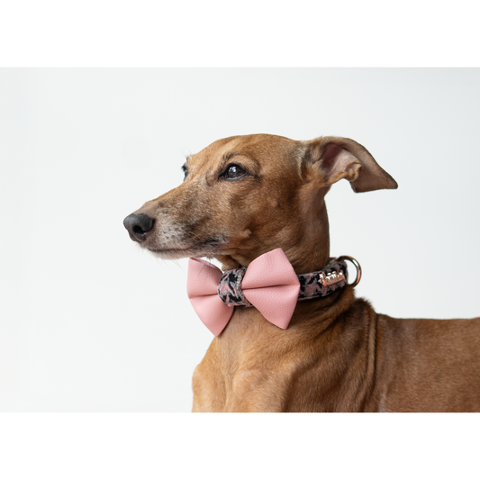 Elite bow tie