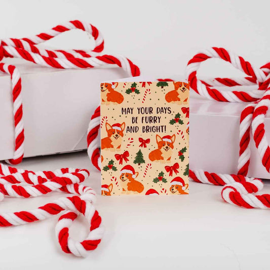May Your Days Be Furry And Bright! - Greeting Card