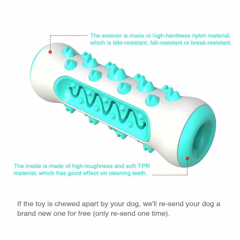 Molar Chew & Dental Toy for Dogs