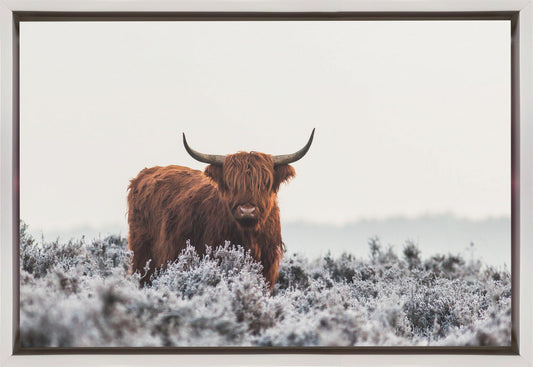 Wandkunst Highlander