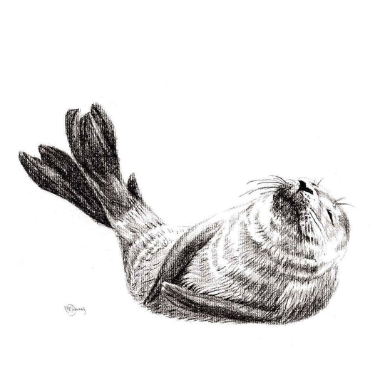 Cute Baby Seal, Black and White Nursery Wildlife Art Print