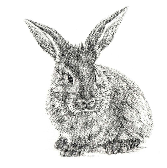 Cute Rabbit Profile - Black and White Nursery Wildlife Art Print
