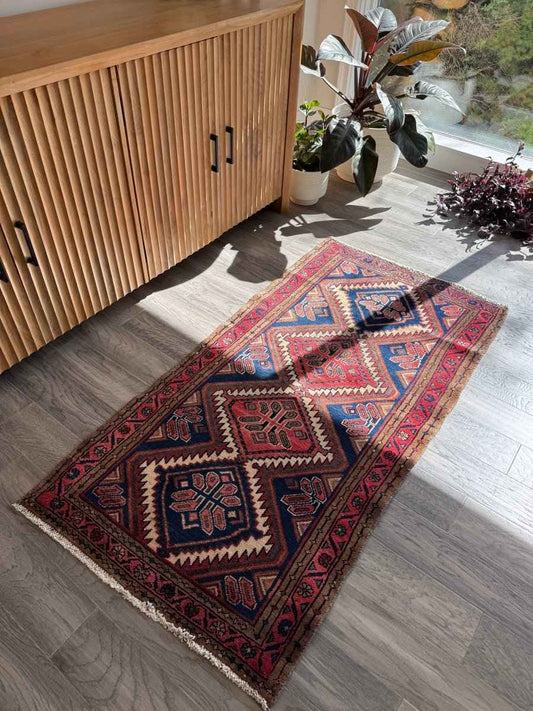Persian Hamedan Rug | 2' 7" x 5' 1"