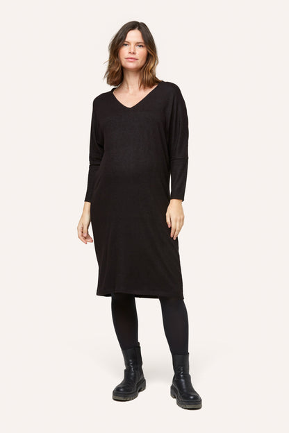 Quinn Maternity and Nursing Dress