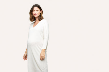 Quinn Maternity and Nursing Dress