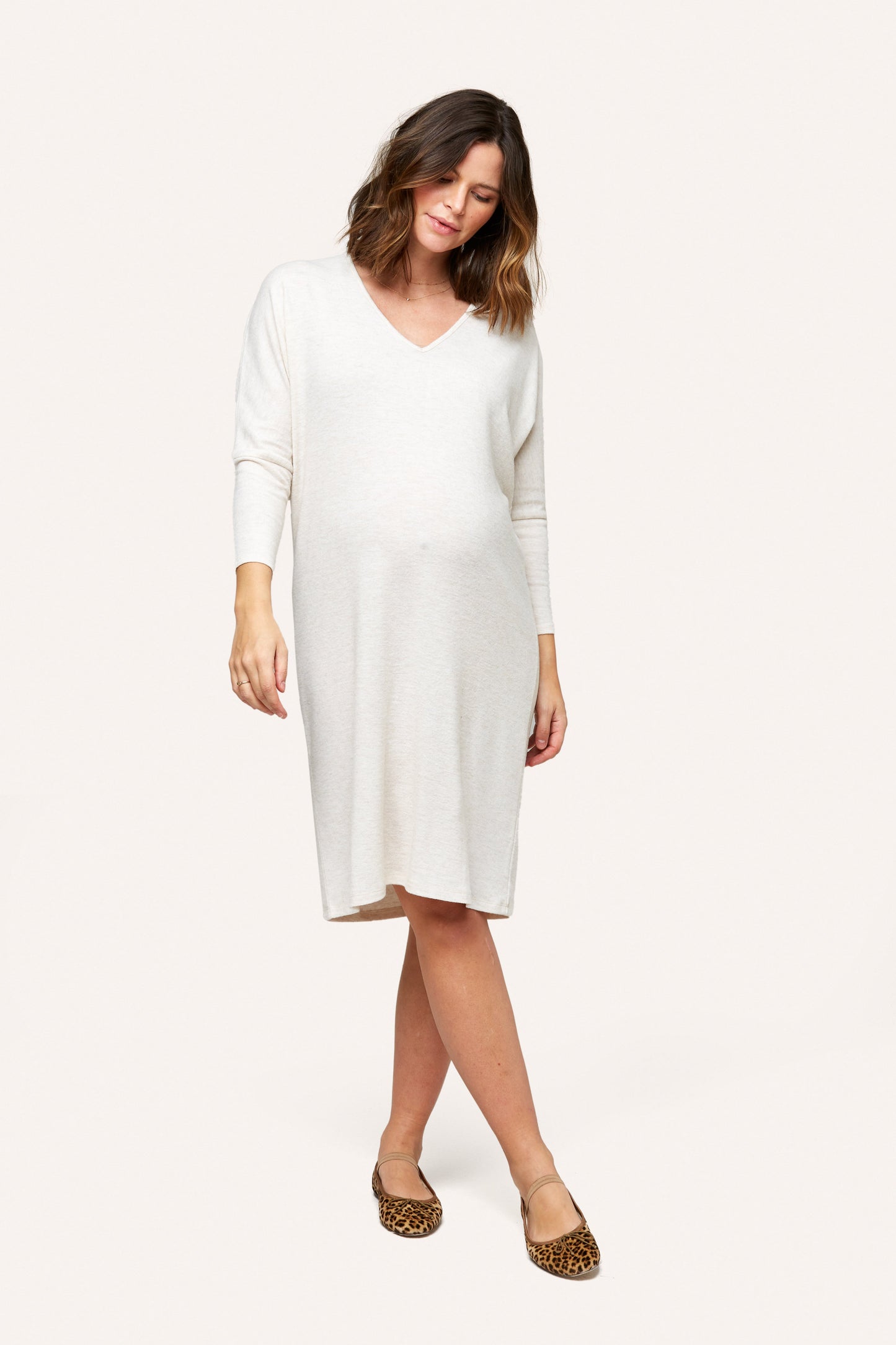 Quinn Maternity and Nursing Dress
