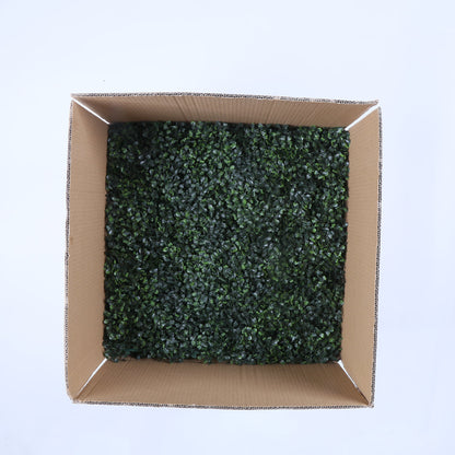 Barcelona (12er-Pack)