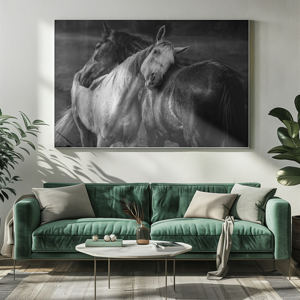 Wandbild Warmer Regen Pferde Leinwandbild