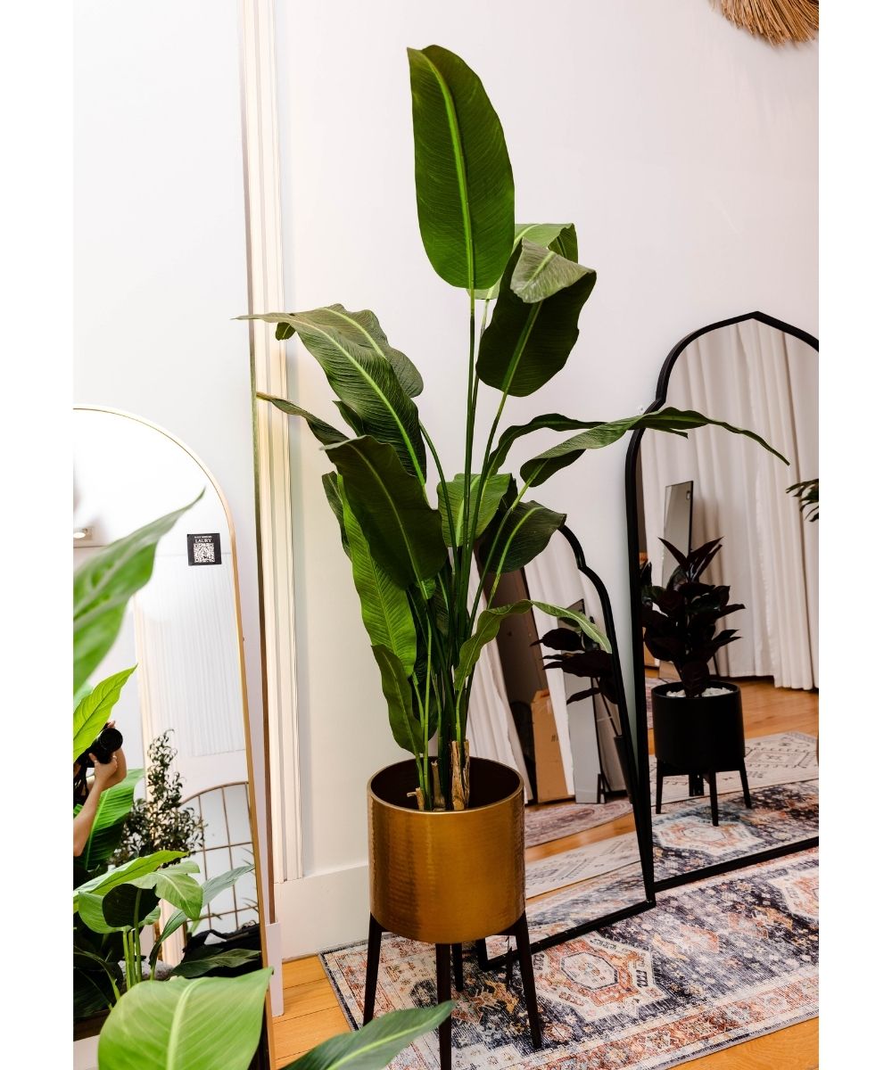 Kola Künstliche Travellers Palm Palme als Topfpflanze (verschiedene Größen)
