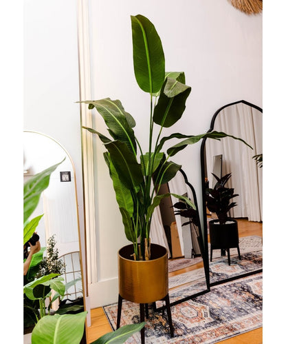 Kola Künstliche Travellers Palm Palme als Topfpflanze (verschiedene Größen)