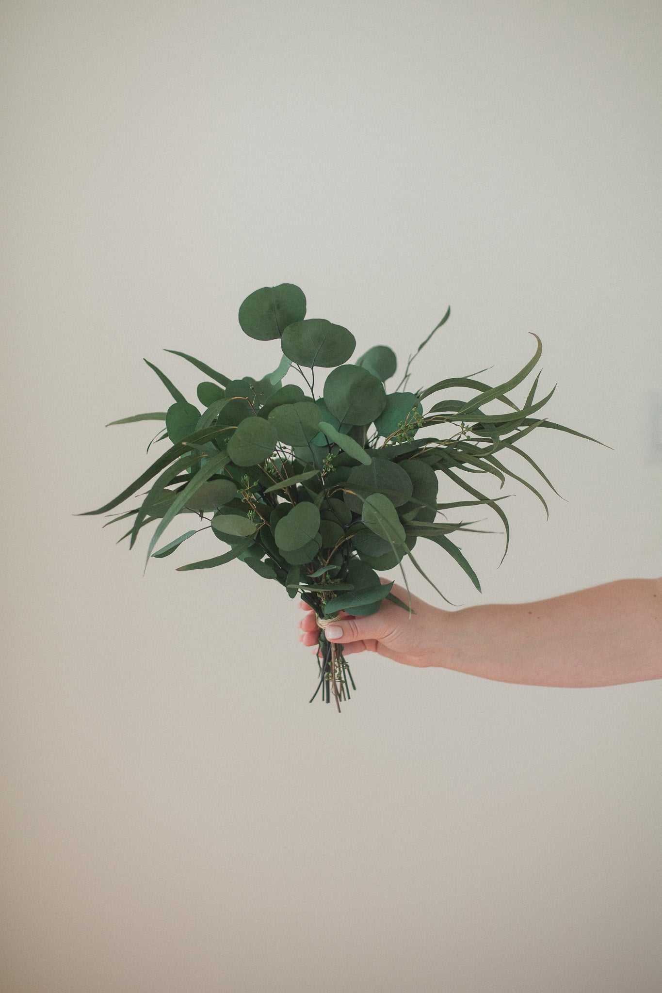 Preserved Eucalyptus Arrangement