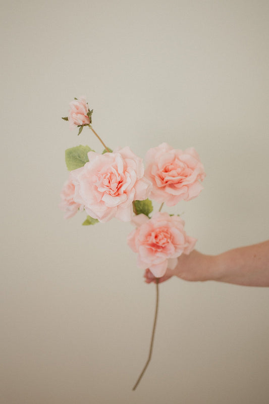 Rose Branch