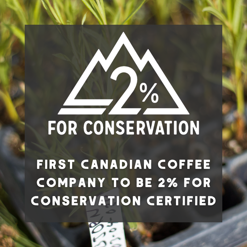 "Grizzly" Organic Coffee - Canadian Heritage Roasting Co.