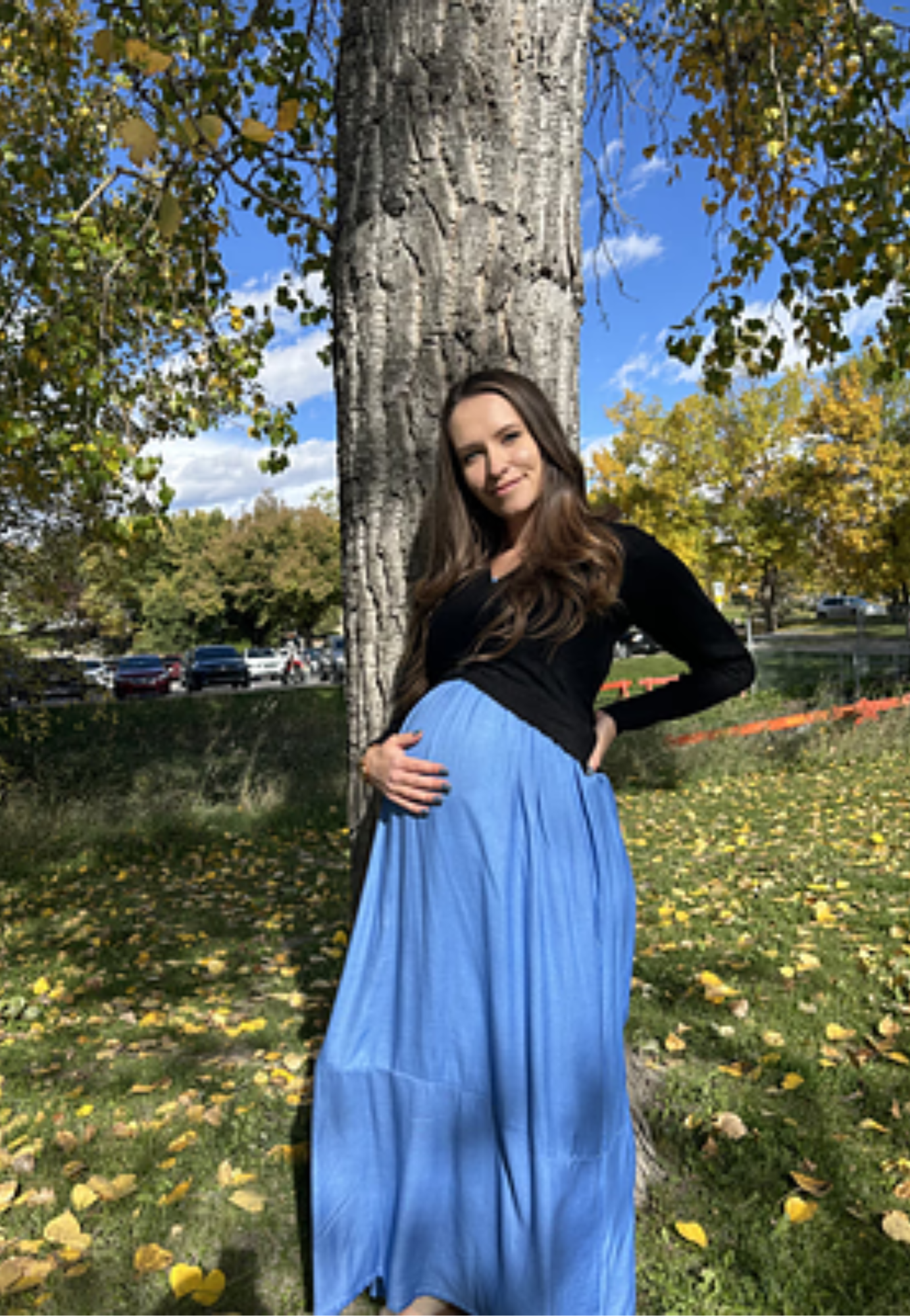 Bamboo Empire Waist Maternity Dress