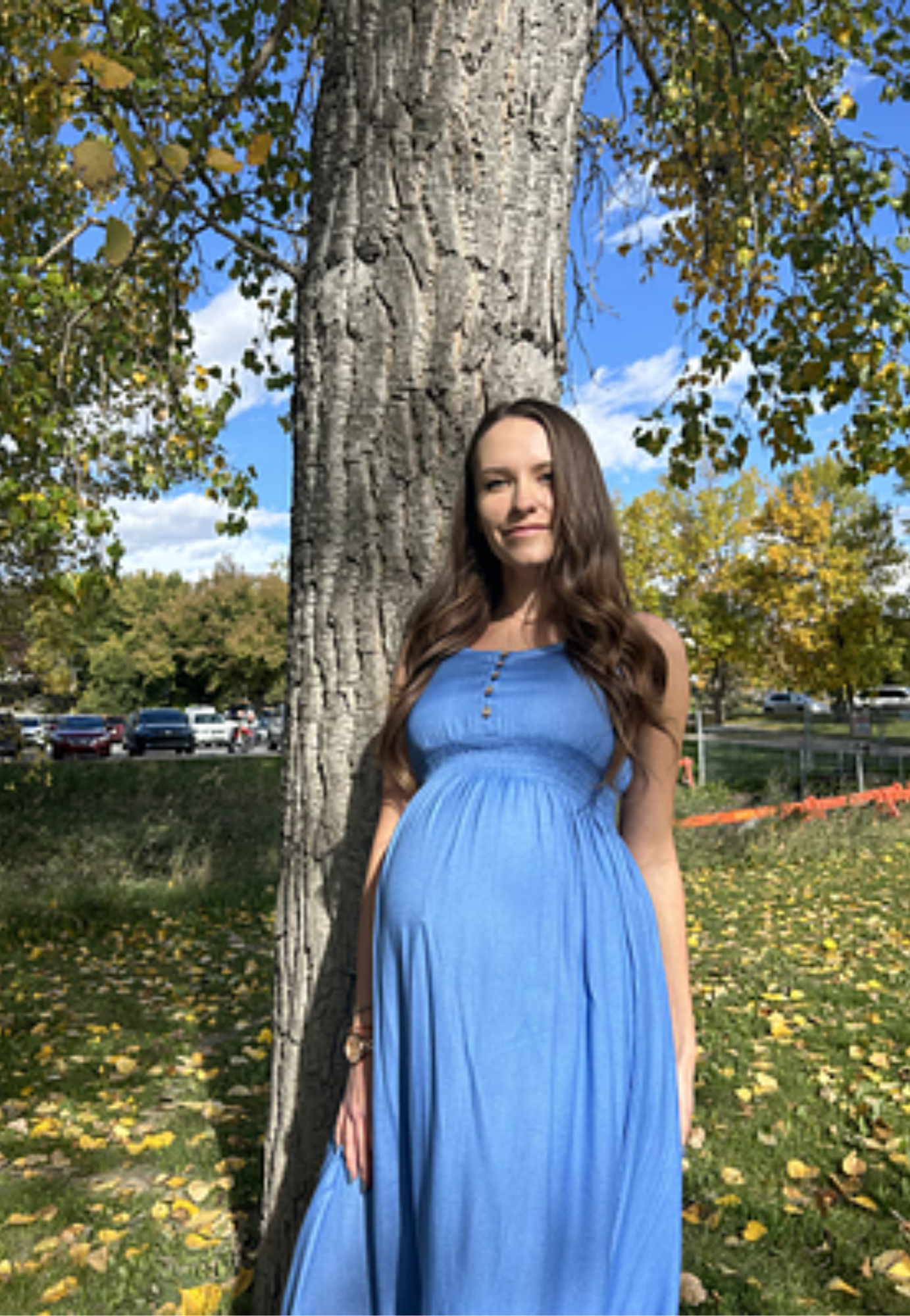 Bamboo Empire Waist Maternity Dress