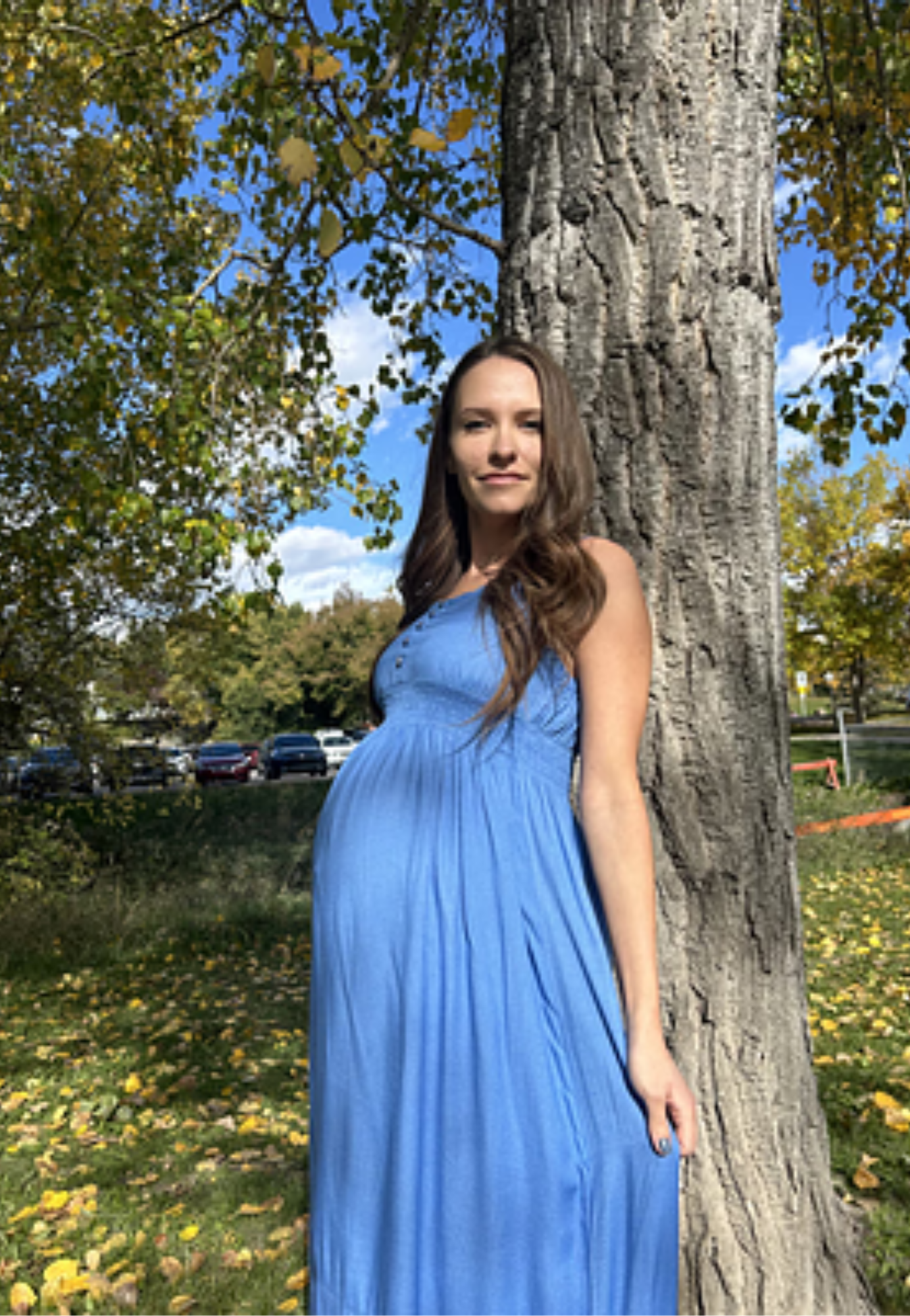 Bamboo Empire Waist Maternity Dress
