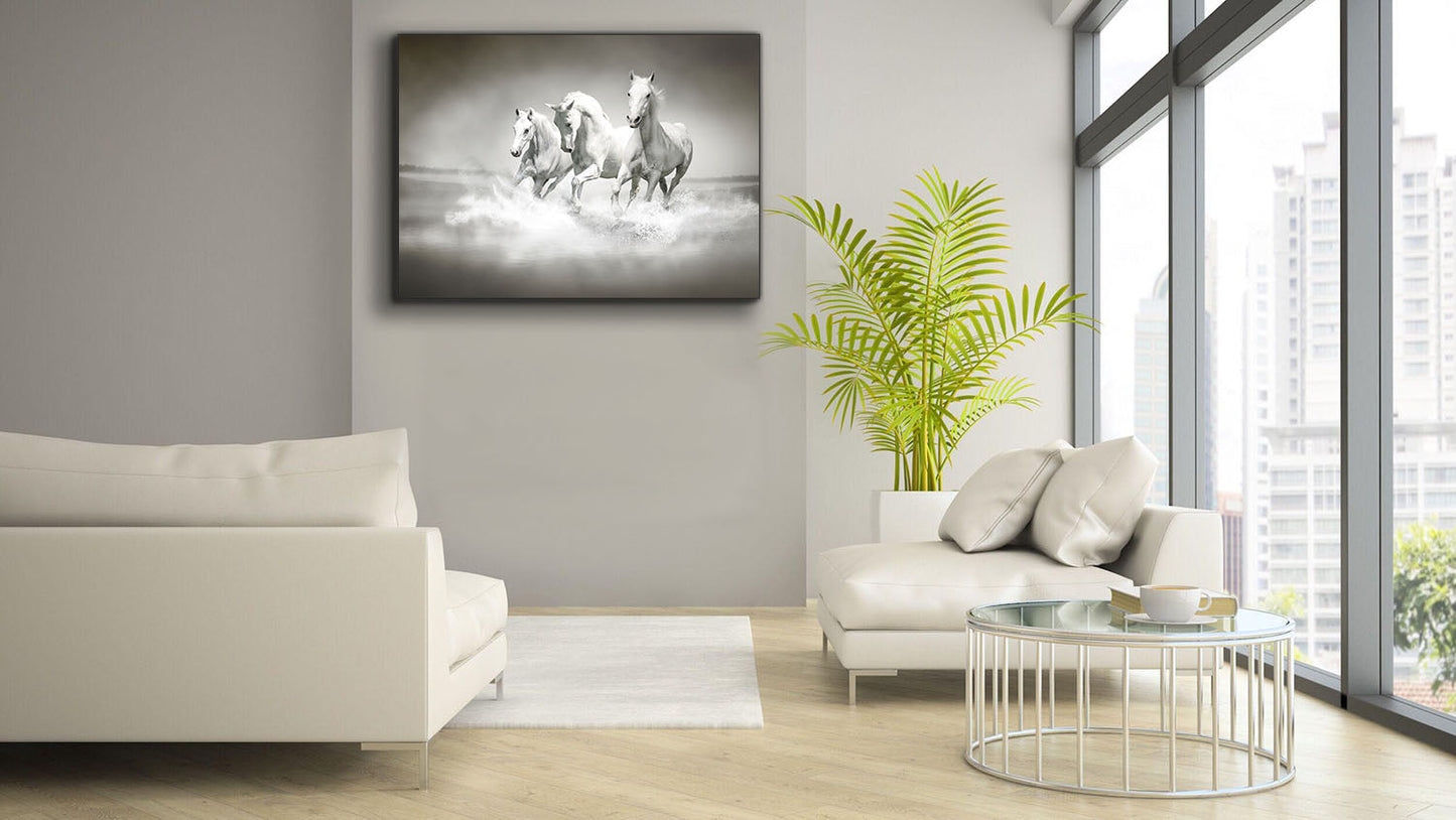 Wandbild Schwarz-Weiß-Hengste - Leinwand Kunstdruck Tiermotiv