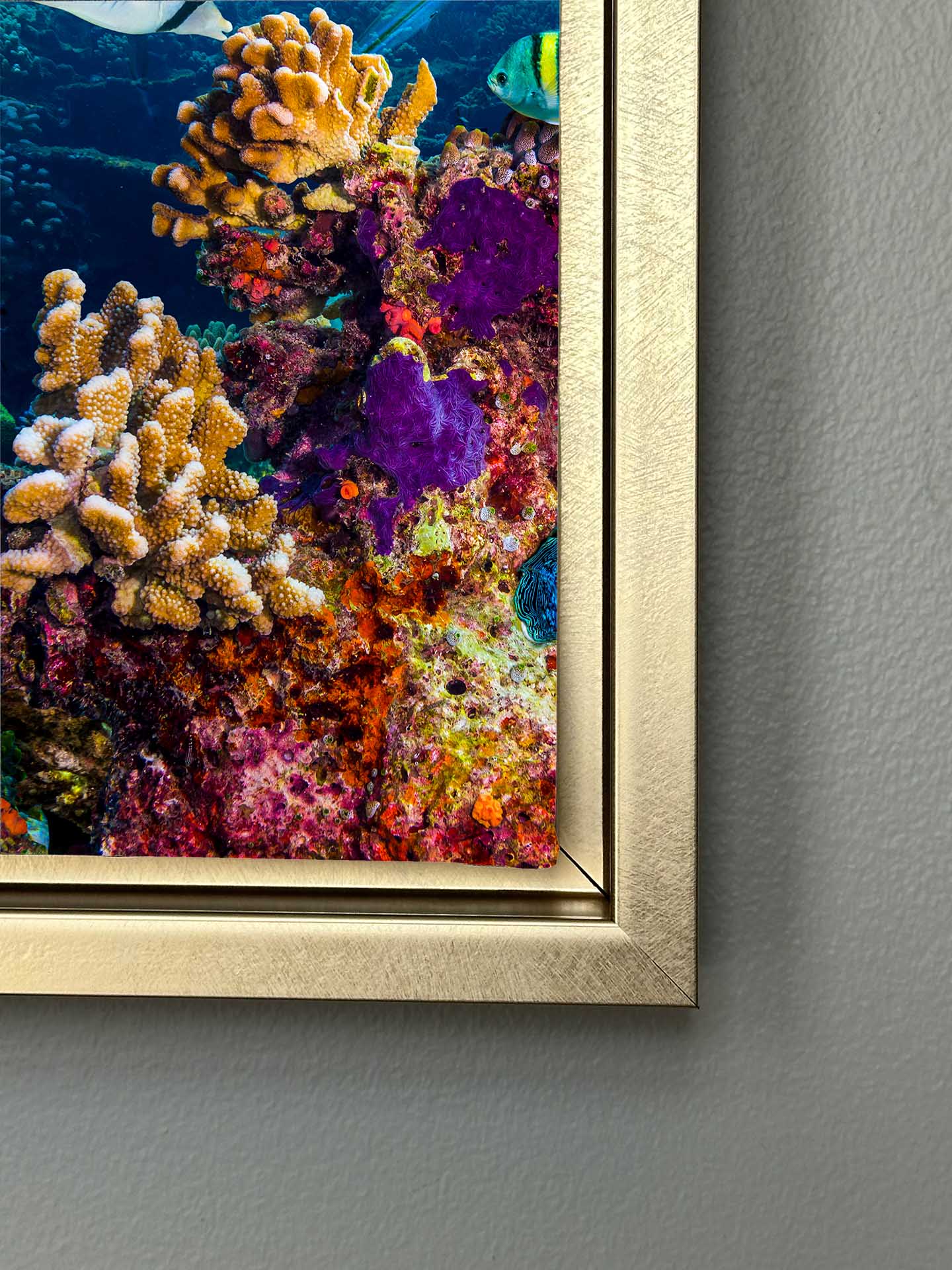 Leinwandbild – Below the Surface – Wandkunst