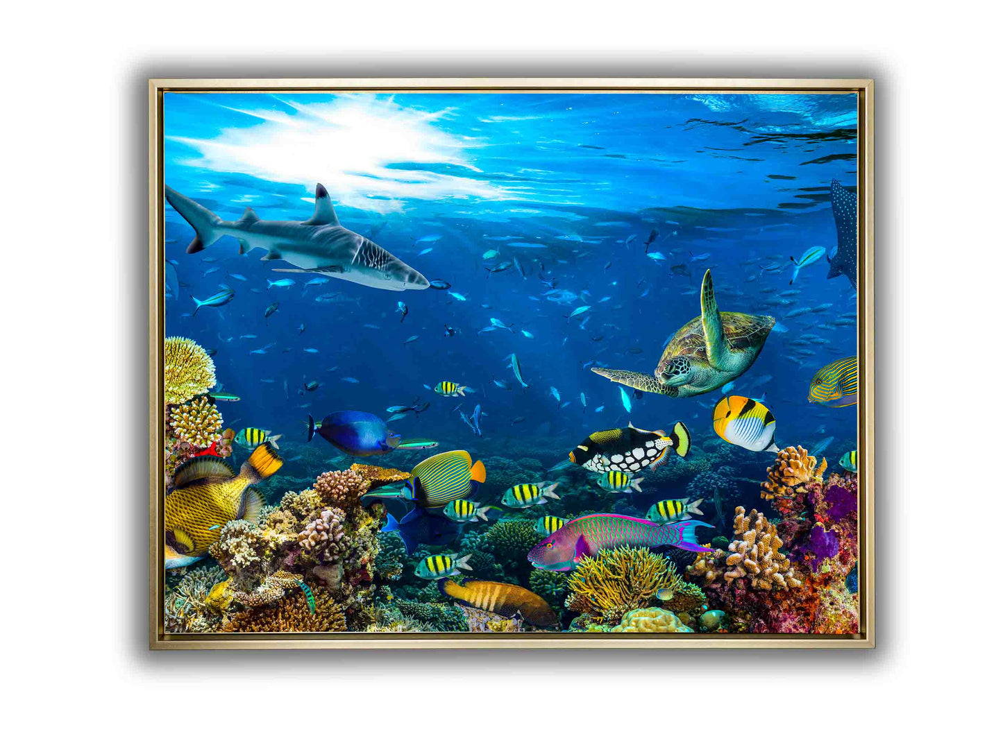 Leinwandbild – Below the Surface – Wandkunst
