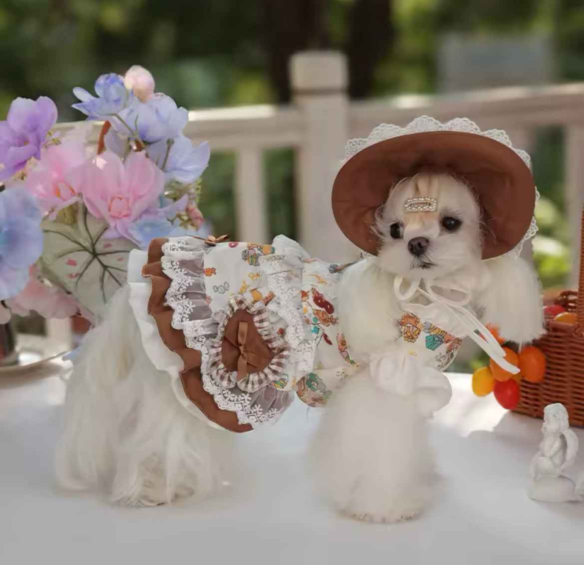 Medieval Dress & Hat Set – Fantasy Luxury Dog Outfit