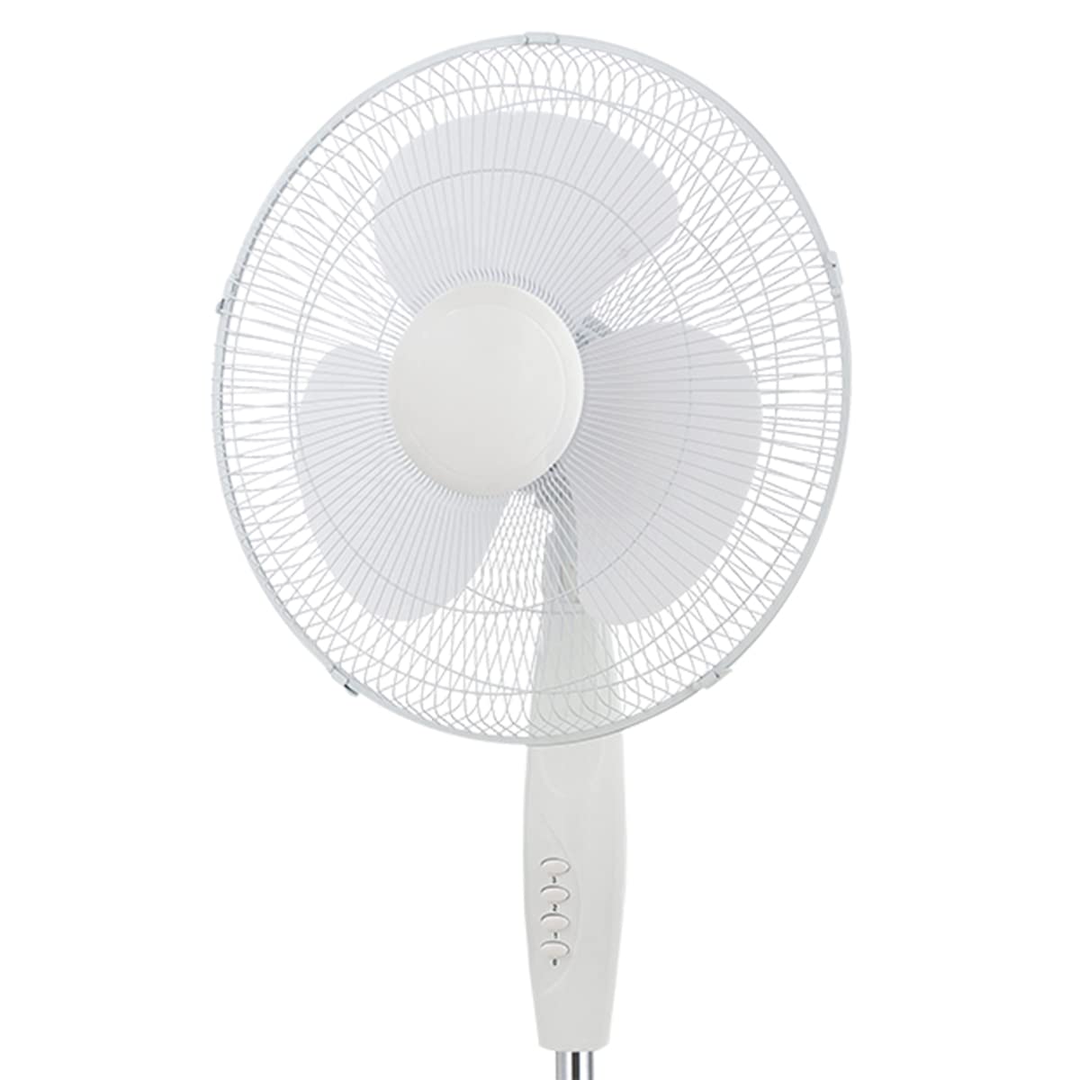 ToolTech Oscillating Pedestal Fan 16 Inch 🍁 All In One Marketplace Canada