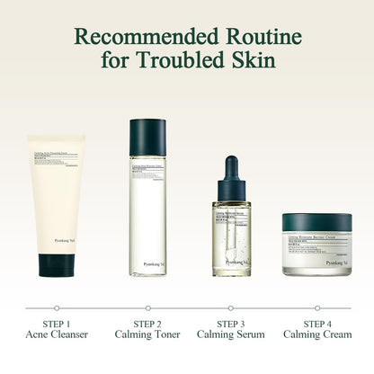Pyunkang Yul PKY Calming Moisture Barrier Cream Instantly Soothes Sensitive Skin, Hyaluronic Acid & Ceramide for Hydration, Vegan, Korean Skincare (3.38 Fl. Oz, 100ml) 🍁 All In One Marketplace Canada