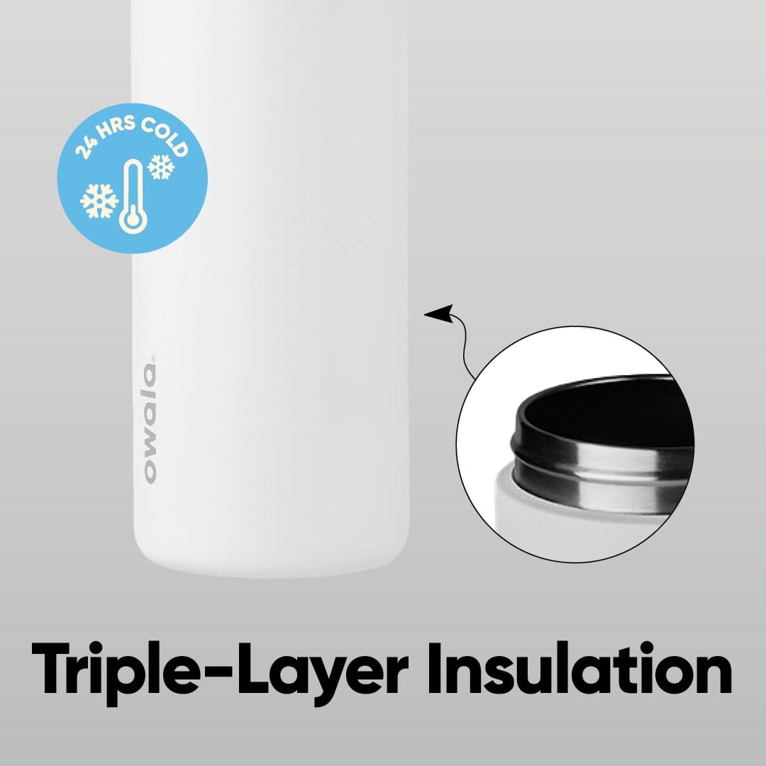 Owala FreeSip Insulated Stainless Steel Water Bottle with Straw, BPA-Free Sports Water Bottle, Great for Travel, 24 Oz, Crown Jewel 🍁 All In One Marketplace Canada