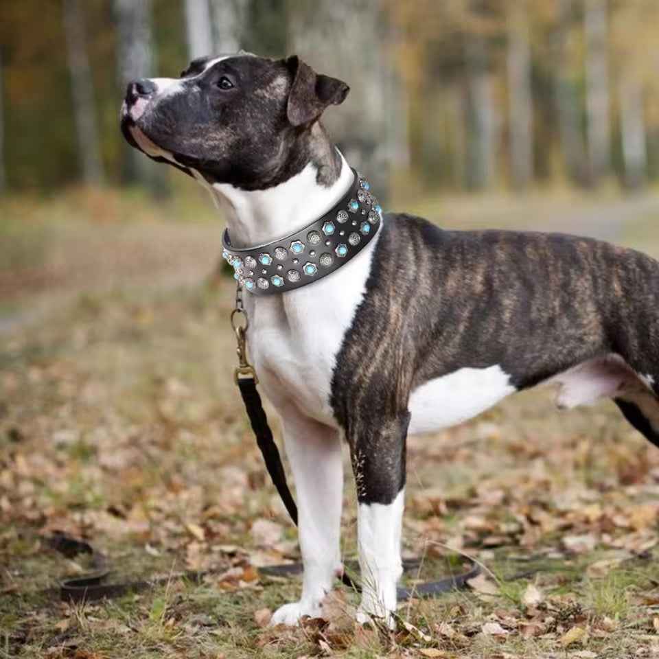 Big Dog Collar