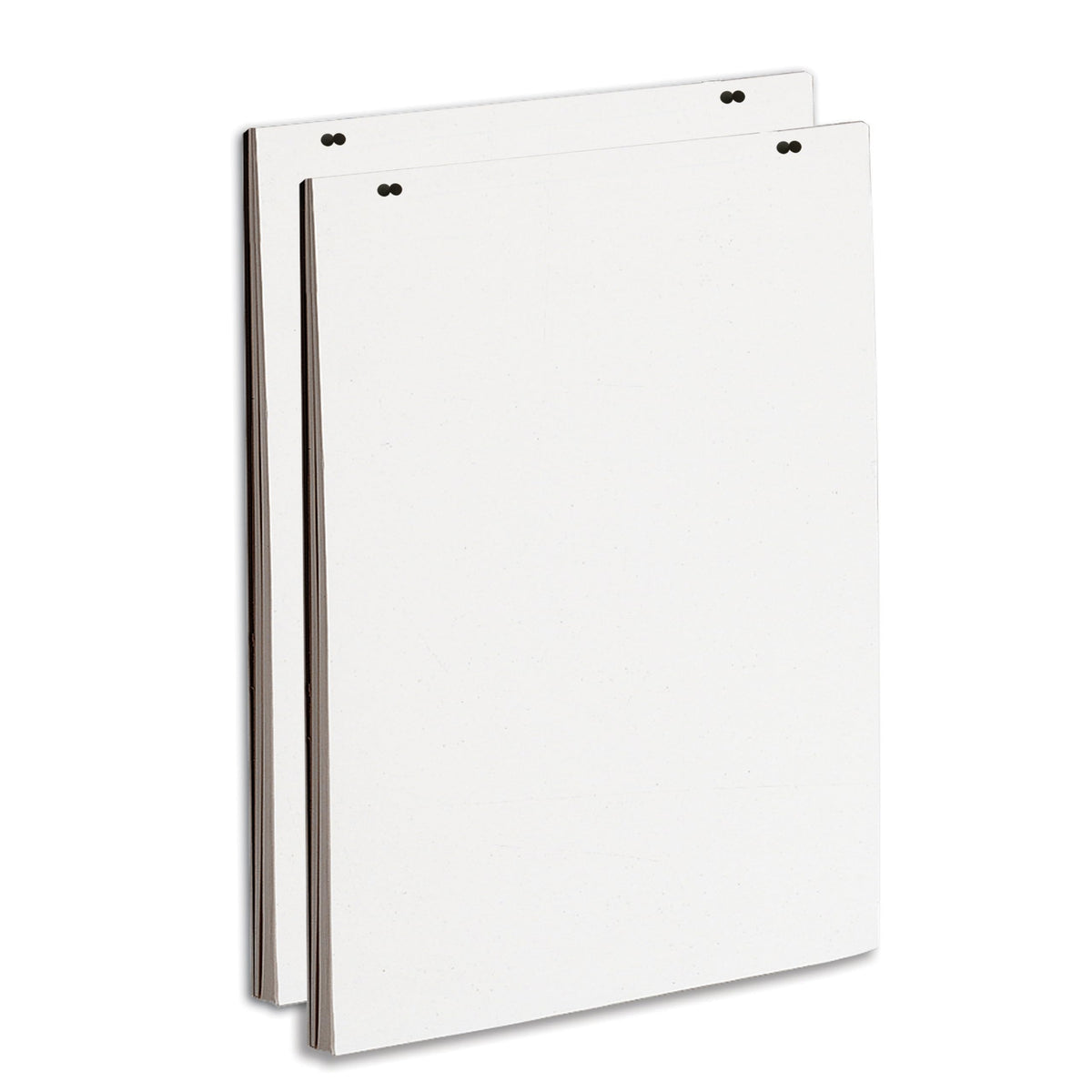 Quartet Newsprint Easel Pad, 24" x 36", 50 Sheets/Pad, 2-Pack (3413889604) 🍁 All In One Marketplace Canada