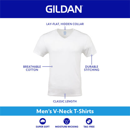 Gildan mens Assorted standard V-neck T-shirts, Large, (Pack of 5) 🍁 All In One Marketplace Canada