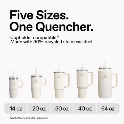 STANLEY Quencher H2.0 Tumbler with Handle and Straw 30 oz | Flowstate 3-Position Lid | Cup Holder Compatible for Travel | Insulated Stainless Steel Cup | BPA-Free | Purple Dust 🍁 All In One Marketplace Canada