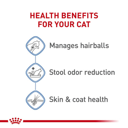 Royal Canin Indoor Long Hair Adult Dry Cat Food, 6 lb bag 🍁 All In One Marketplace Canada