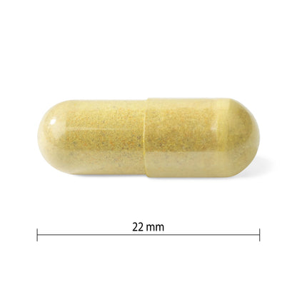 Progressive Advanced Daily Multivitamin for Active Women, with DIM, Chastetree, Maca, and Ashwagandha. Supports Immune Health, Healthy Estrogen Balance, and Energy, 100% Complete, Canadian-Made, 120 Count 🍁 All In One Marketplace Canada