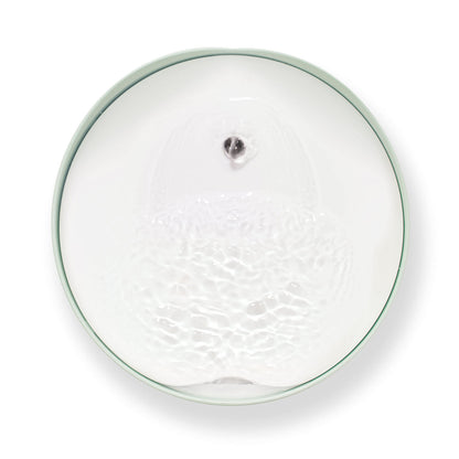 Catit PIXI Cat Water Fountain, 2.5 L, Mint Green, Modern Cat Fountain, Silent Pump for Indoor Cats, Different Flow Settings, Fontaine Pour Chat, Pet Water Fountains 🍁 All In One Marketplace Canada