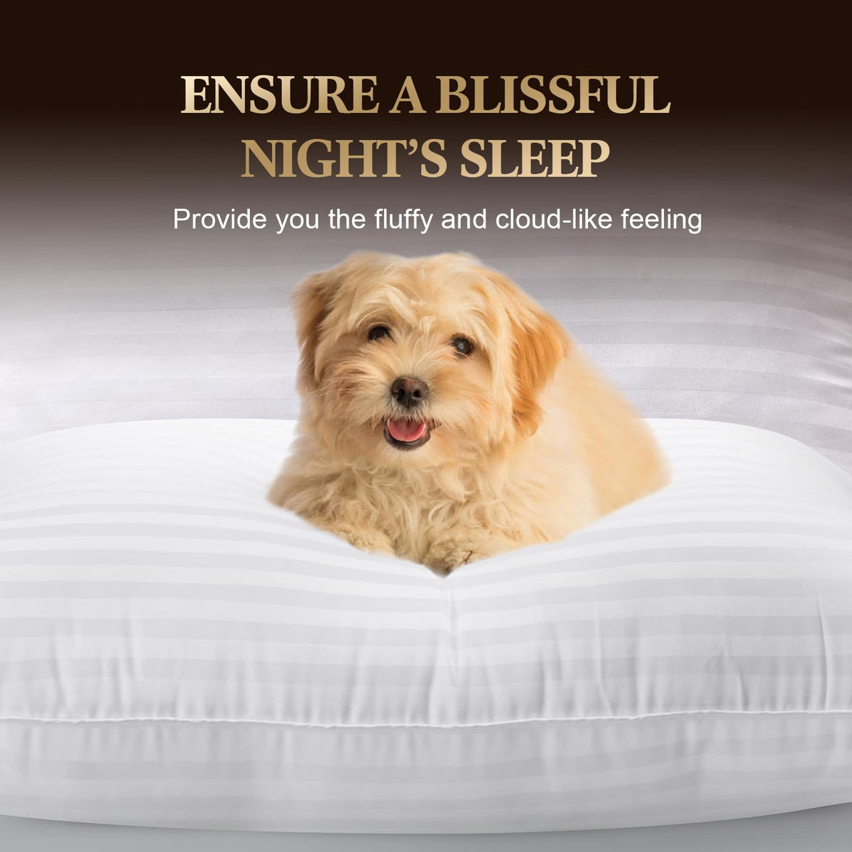 SHERWOOD Pillows Queen Size 2 Pack Hotel Pillow with Cotton Cover and Down Alternative Fiber Fill Bed Pillow for Sleeping(White, Queen 20x30 inch) 🍁 All In One Marketplace Canada