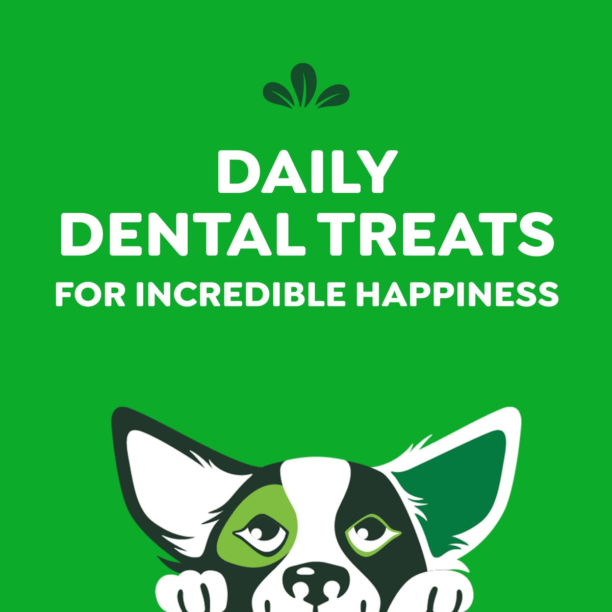 GREENIES Dog Treats Original Petite Natural Dental Care, (45 Treats) 27oz. Pack 🍁 All In One Marketplace Canada