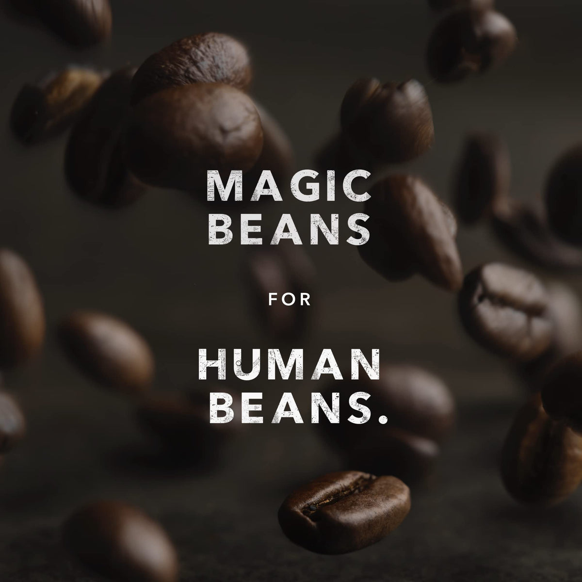 Kicking Horse Coffee, Kick Ass, Dark Roast, Whole Bean, 1 lb - Certified Organic, Fairtrade, Kosher Coffee 🍁 All In One Marketplace Canada