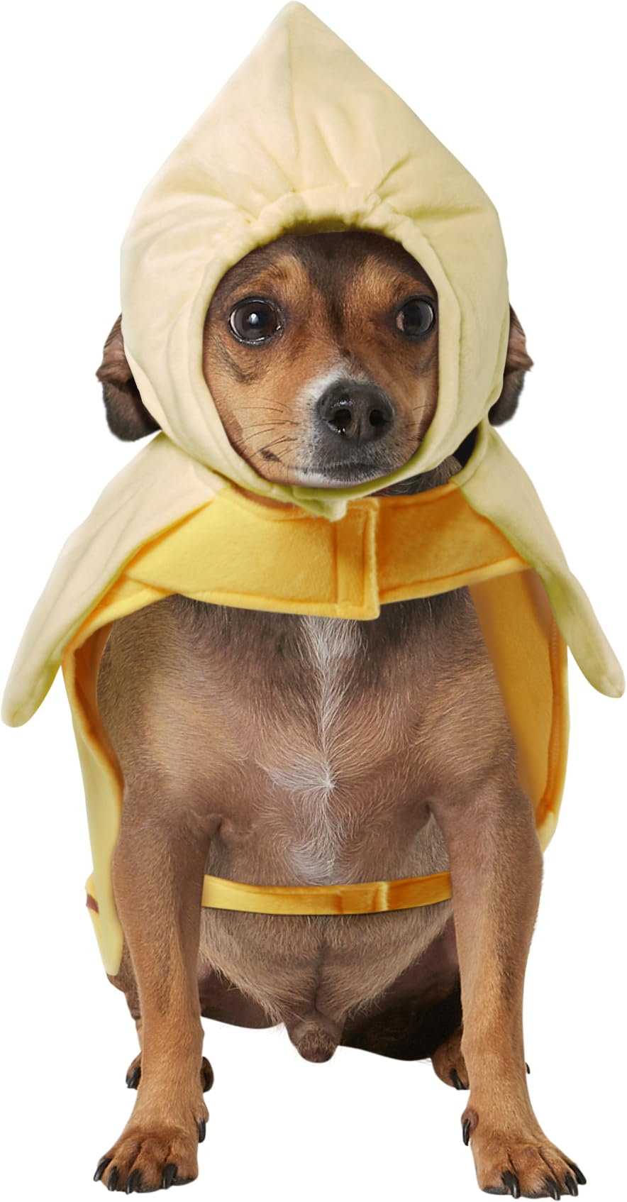 Rubies Costume Co Halloween Classics Collection Pet Costume, Large, Banana