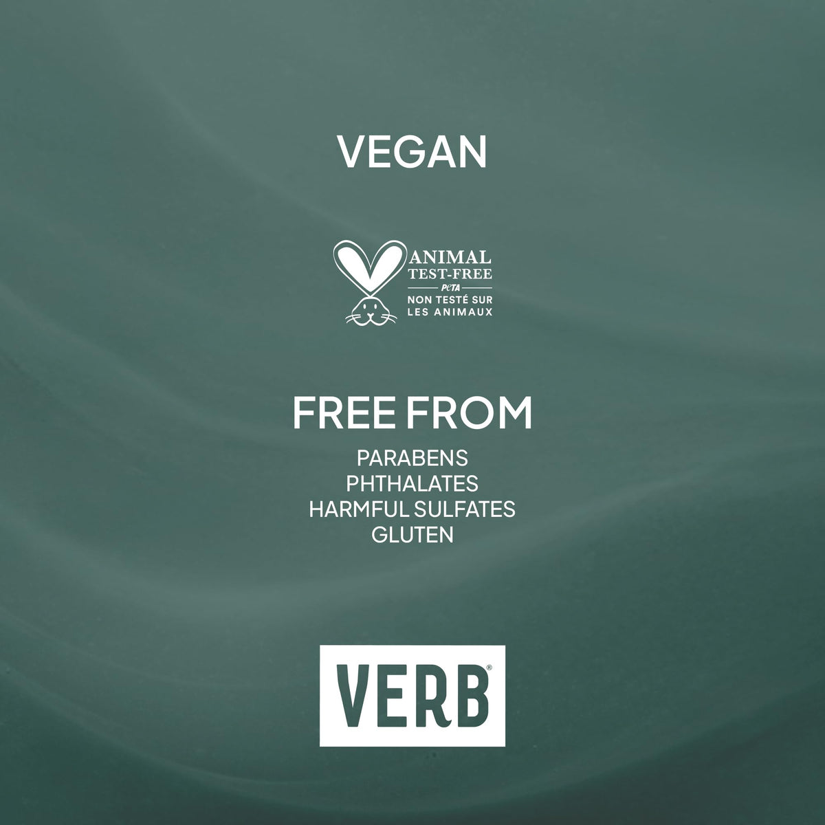 VERB Ghost Fine Hair Shampoo, 12 fl oz | Weightless Smoothing Cleanser 🍁 All In One Marketplace Canada