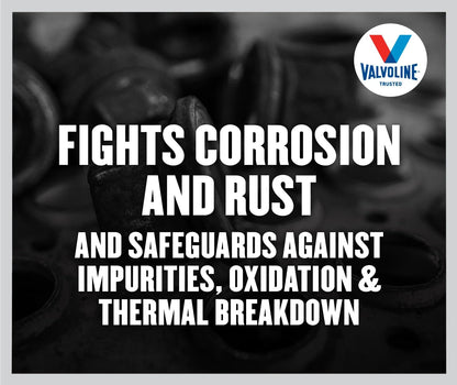 Valvoline Daily Protection 80W-90 Gear Oil 1 QT 🍁 All In One Marketplace Canada